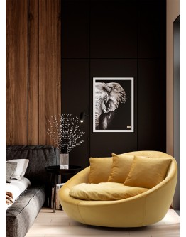 Comfor Hardal Tekli Berjer